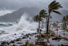 Hurricane Polo Mexico: Latest Updates on Flooding, Winds and Landfall Hurricane Polo Mexico: Latest Updates on Flooding, Winds and Landfall